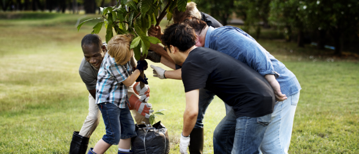 Stichting Natuur en Milieu Overijssel