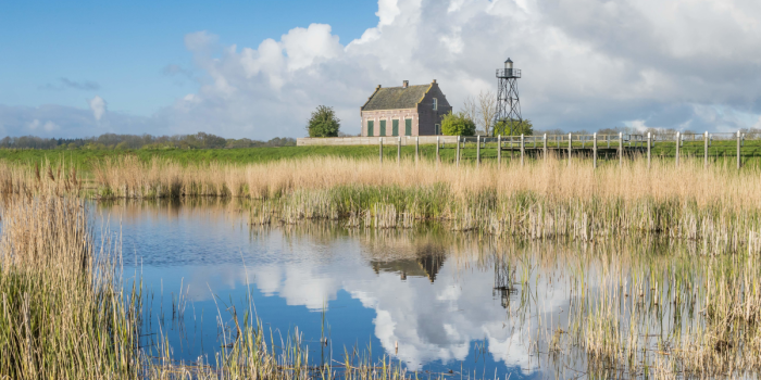 Het Flevo-landschap