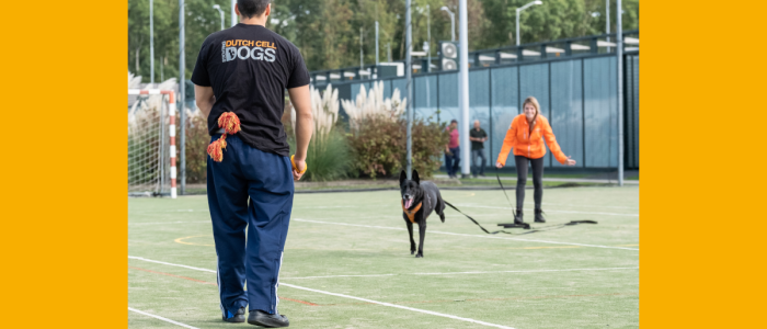 Dutch Cell Dogs