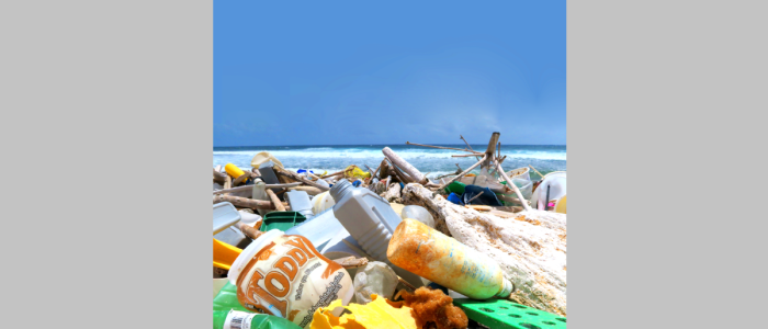 Plastic Soup Foundation