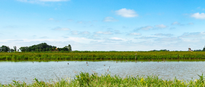 Stichting Agrarische Natuurfondsen Fryslân