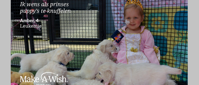 Make-A-Wish Nederland