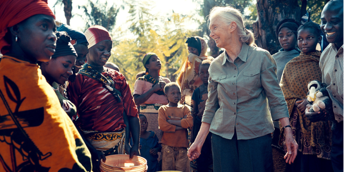 Het Jane Goodall Instituut Nederland