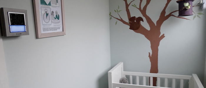 Stichting Beschermde Wieg