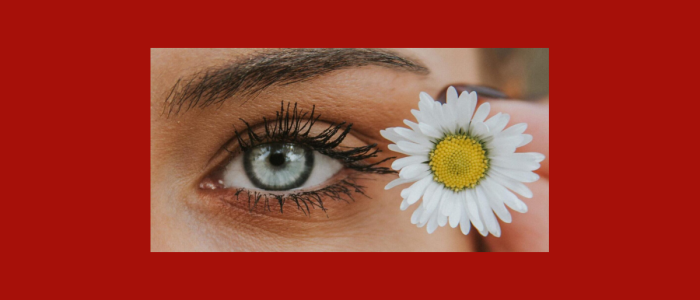 Stichting Cure ADOA Foundation