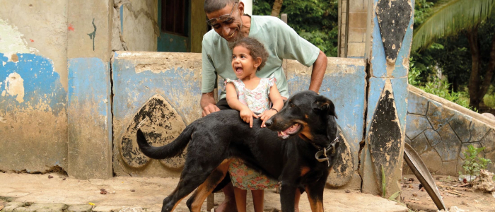 World Animal Protection