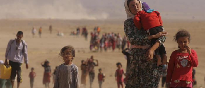 Stichting Vluchteling