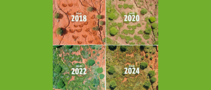 Stichting Justdiggit Foundation