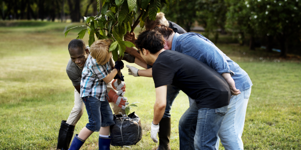 Stichting Natuur en Milieu Overijssel