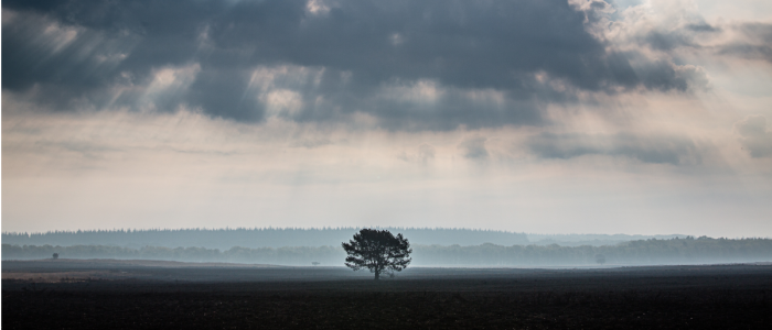 Stichting Oog op de Natuur