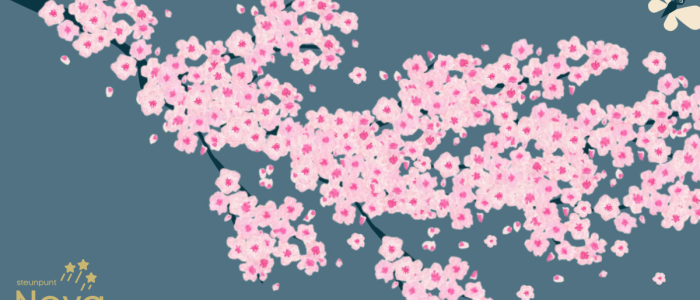 Stichting Steunpunt Nova