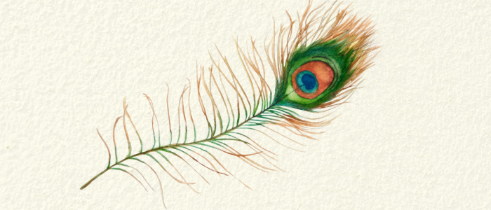 Stichting Stille Levens Kenniscentrum Babysterfte