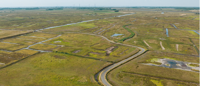 Het Zeeuwse Landschap