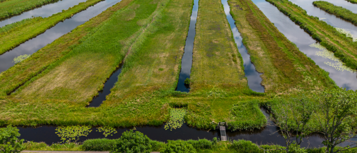 Het Zuid-Hollands Landschap