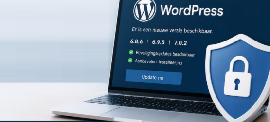 Wordpress update waarschuwing 700x364