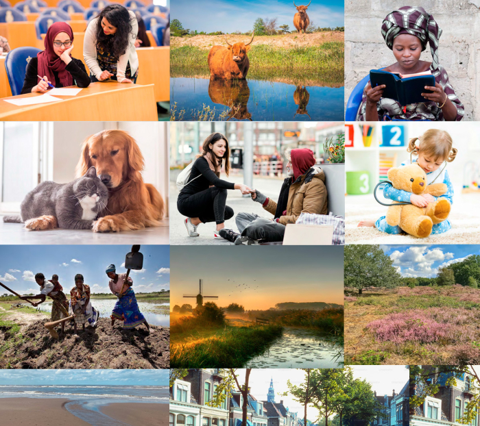 GDN Headerbeeld Q2 2026