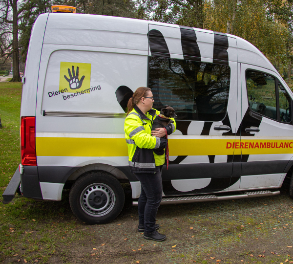 Dierenambulance vrouw met hond x2
