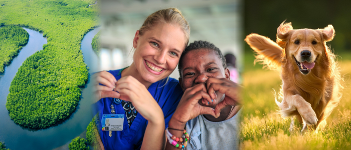 Mindwize banner Rivier Hart Hond 700x300