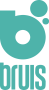 Bruis IT logo