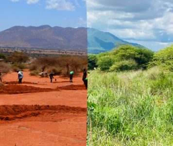 B A 07 2018 01 2021 Pembamoto Mlali Bunds Dodoma Tanzania Justdiggit 3