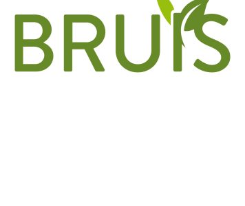 BRUIS logo