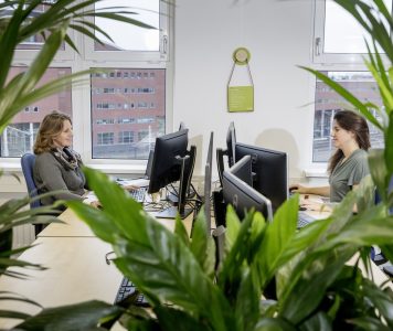 Kantoor medewerkers achter plant NAMO118458