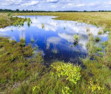 Landschap Brabant vennetje NAMO84818 klein