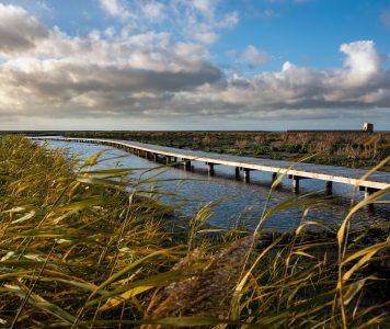 Marker Wadden steiger en riet NAMO102020 klein