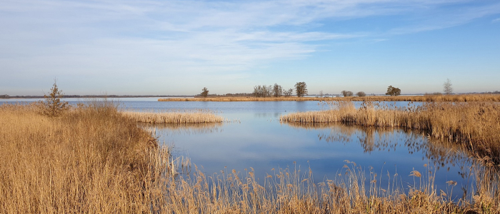 De Wieden NAMO102438 klein