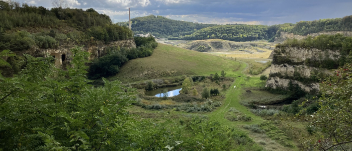 Foto boa zuid limburg klein