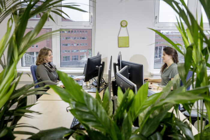Kantoor medewerkers achter plant NAMO118458