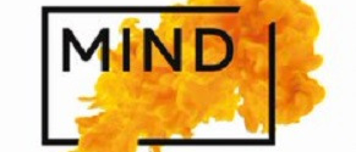 Logo MIND