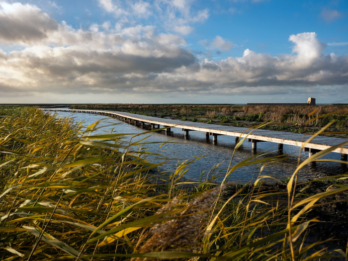 Marker Wadden steiger en riet NAMO102020 klein