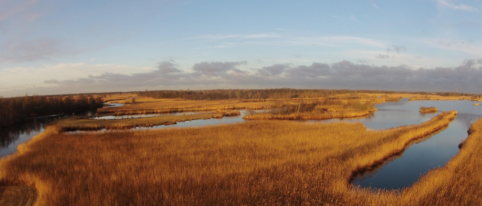 Nieuwkoopse plassen NAMO102354