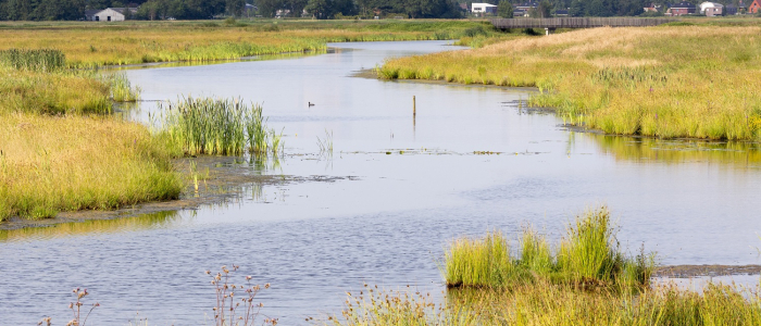 Onlanden klein NAMO51307